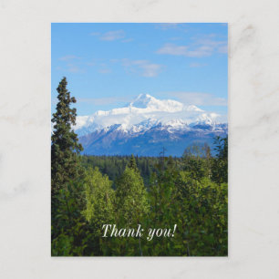 Beautiful Denali Postcard