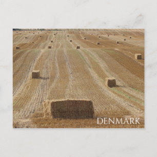 Beautiful Denmark Countryside Postcard! Postcard