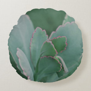 Beautiful Desert Plant Art Photograph Round Cushion