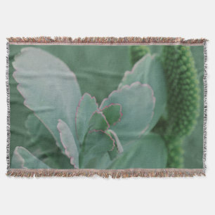 Beautiful Desert Plant Art Photograph Throw Blanket