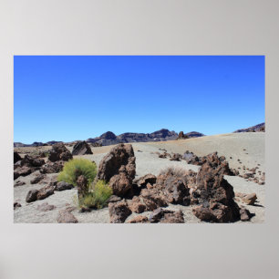 Beautiful Desert Poster