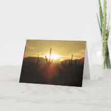 Beautiful desert sunset photo with cactus
