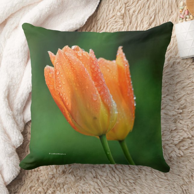Beautiful Dew-Kissed Pastel Orange Tulips Cushion (Blanket)