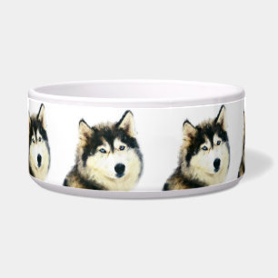 Beautiful Dog Bowl - Siberian Husky