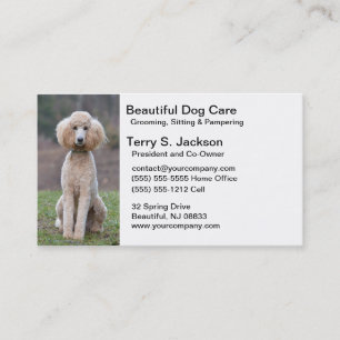 Beautiful Dog Care Business Card