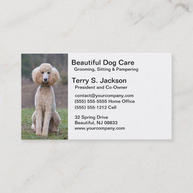 Beautiful Dog Care Business Card (Front)