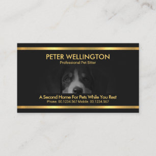 Beautiful Dog Motif Gold Stripes Pet Sitter Business Card