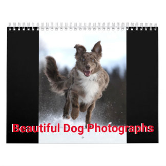 Beautiful Dog Photos Calendar