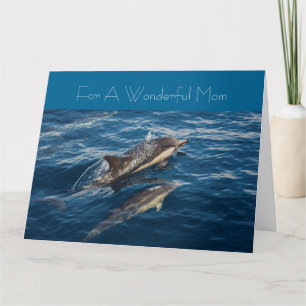 Beautiful Dolphin's Mothers' Day Greeting Card