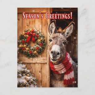 Beautiful Donkey Barn Christmas Seasons Greeting Postcard