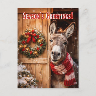 Beautiful Donkey Barn Christmas Seasons Greeting Postcard