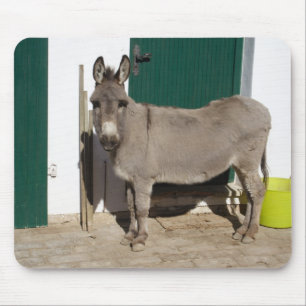 Beautiful Donkey Mouse Mat