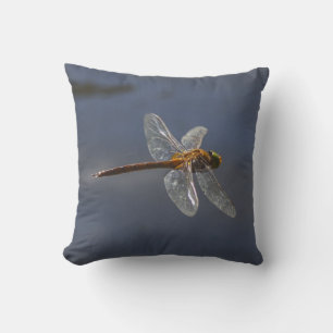 Beautiful Dragonfly Close-Up Over Water Cushion