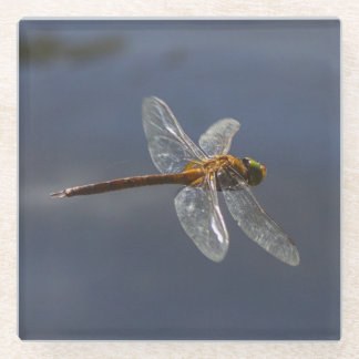 Beautiful Dragonfly Close-Up Over Water Glass Coaster
