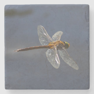 Beautiful Dragonfly Close-Up Over Water Stone Coaster