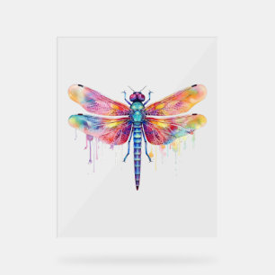 Beautiful Dragonfly Kiss Heaven Insect Lover Acrylic Sign