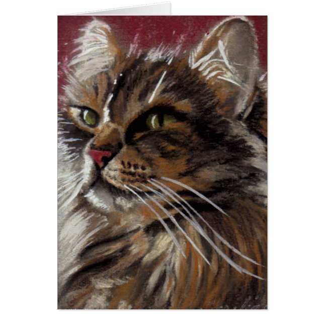 Beautiful Dreamer - Maine Coon Cat Card (Front)