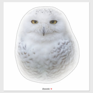 Beautiful, Dreamy and Serene Snowy Owl