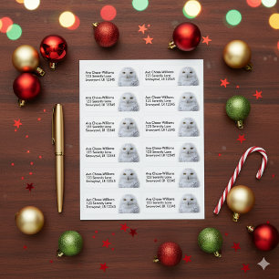 Beautiful, Dreamy and Serene Snowy Owl