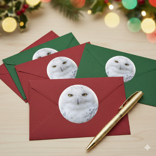 Beautiful, Dreamy and Serene Snowy Owl Classic Round Sticker