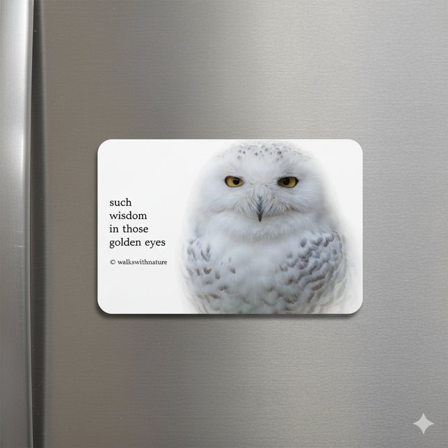 Beautiful, Dreamy and Serene Snowy Owl Magnet (Snowy Owl Magnet on Fridge Cover Photo)