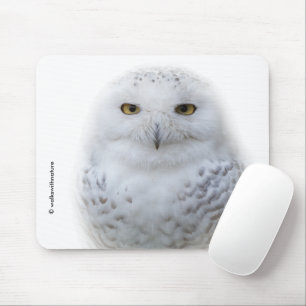 Beautiful, Dreamy and Serene Snowy Owl Mouse Mat