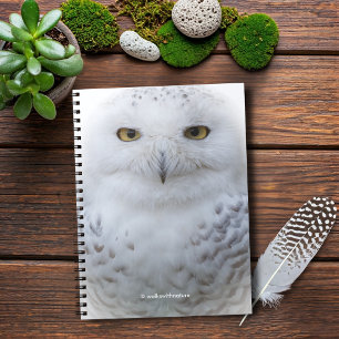 Beautiful, Dreamy and Serene Snowy Owl Notebook