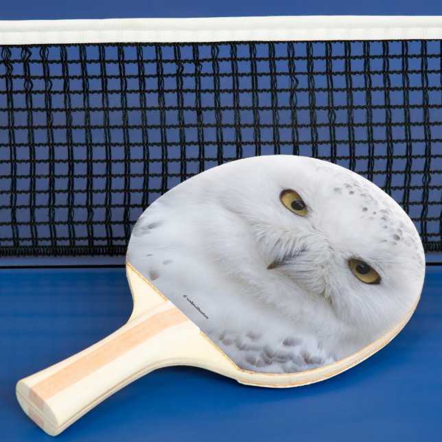 Beautiful, Dreamy and Serene Snowy Owl Ping Pong Paddle (Insitu)