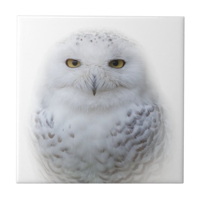 Beautiful, Dreamy and Serene Snowy Owl Tile (Front)