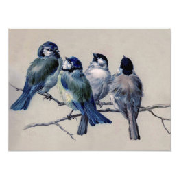 Beautiful Dusty Blue Grey Birds on a Branch Photo Print
