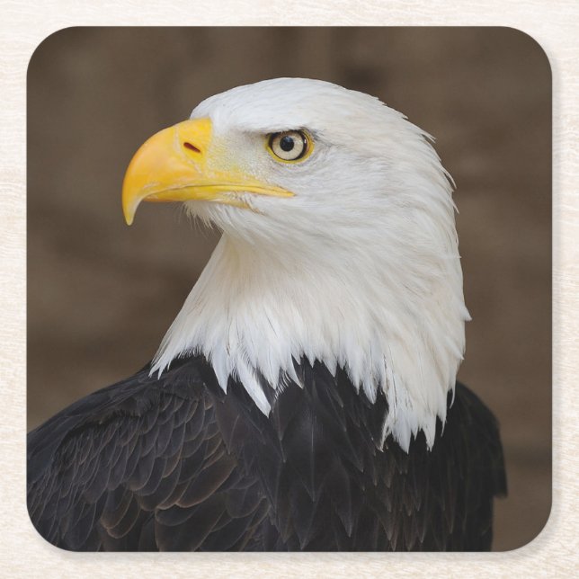 Beautiful Eagle Coaster Set (Front)