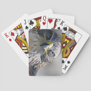 Beautiful Eagle Deck of Playing Cards