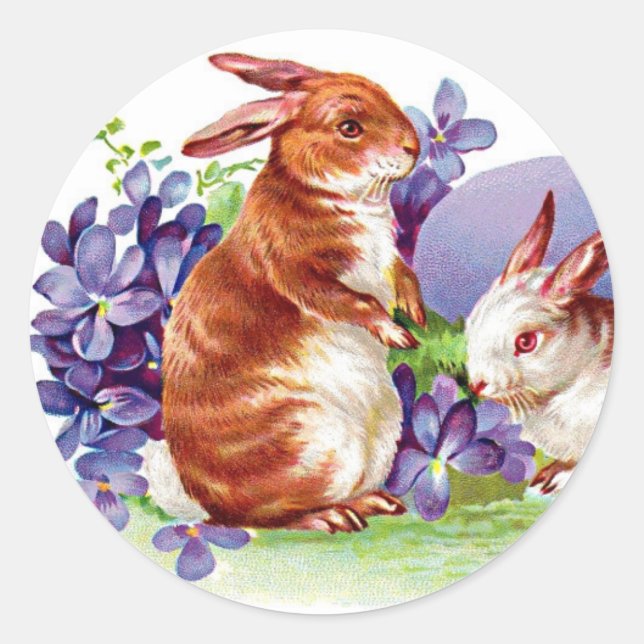 Beautiful Easter Bunny - Bunnies & Violets Classic Round Sticker (Front)