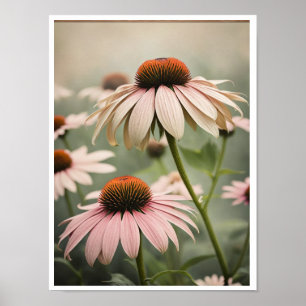 Beautiful Echinacea Flower Poster Wall Art
