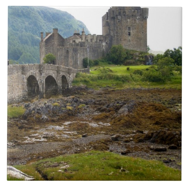 Beautiful Eileen Donan Castle in Western Dornie 2 Tile (Front)
