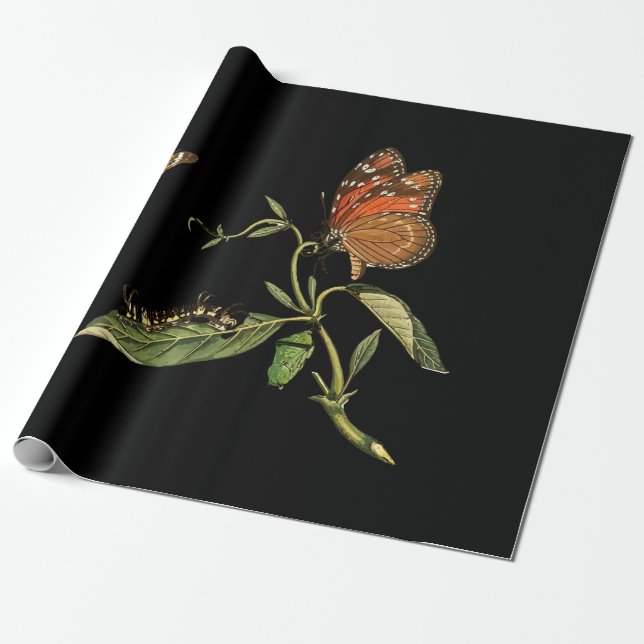 Beautiful - Elegance - Butterfly - Flower Wrapping Paper (Unrolled)