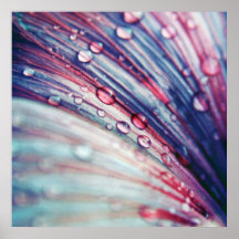 Beautiful Elegant Abstract Pink Blue Flower Drops