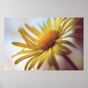 Beautiful Elegant Abstract Yellow Daisy Flower  Poster