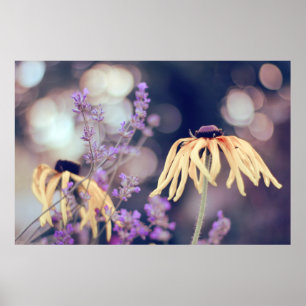 Beautiful Elegant Dreamy Coneflowers Lavender Poster