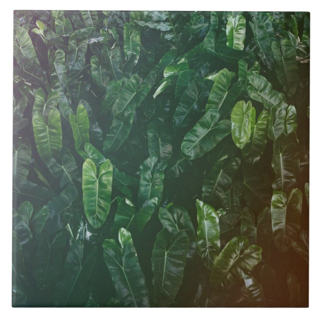 Beautiful & Elegant Tropical Leaves Ceramic Tiles (Front)