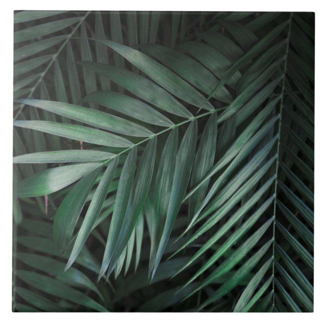 Beautiful & Elegant Tropical Leaves Ceramic Tiles (Front)