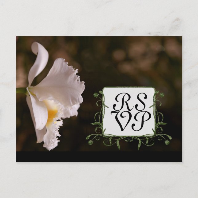 Beautiful Elegant White Orchid Response Invitation Postcard (Front)
