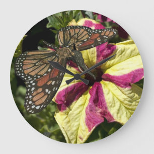 Beautiful Elephant Butterfly Large Clock