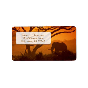 Beautiful Elephant Silhouette & Sunset Label