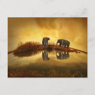 beautiful elephant Thailand sunset Postcard