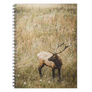 BEAUTIFUL ELK DEER NOTEBOOK