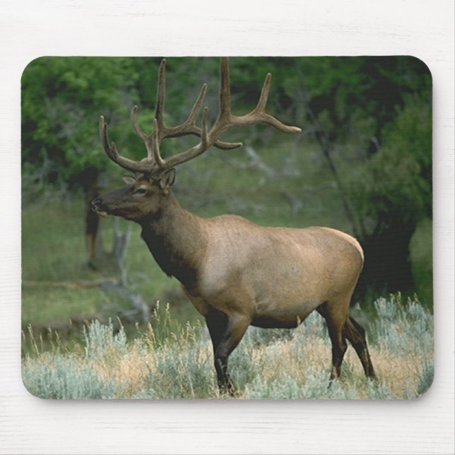 Beautiful Elk Mouse Mat (Front)