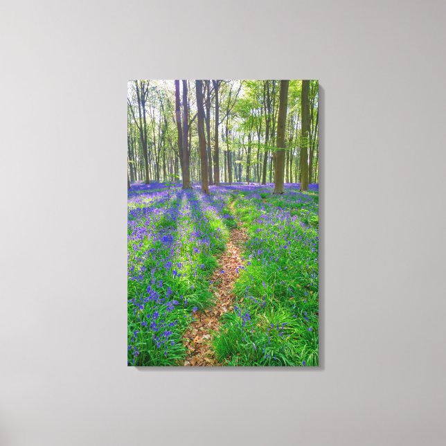 Beautiful English Bluebell Wood Canvas Print (Front)