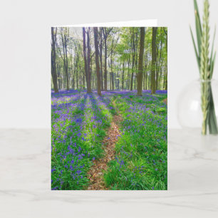Beautiful English Bluebell Wood Greeting Card