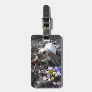 Beautiful English Lop with Flowers Luggage Tag